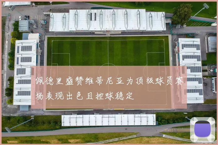 佩德里盛赞维蒂尼亚为顶级球员赛场表现出色且控球稳定
